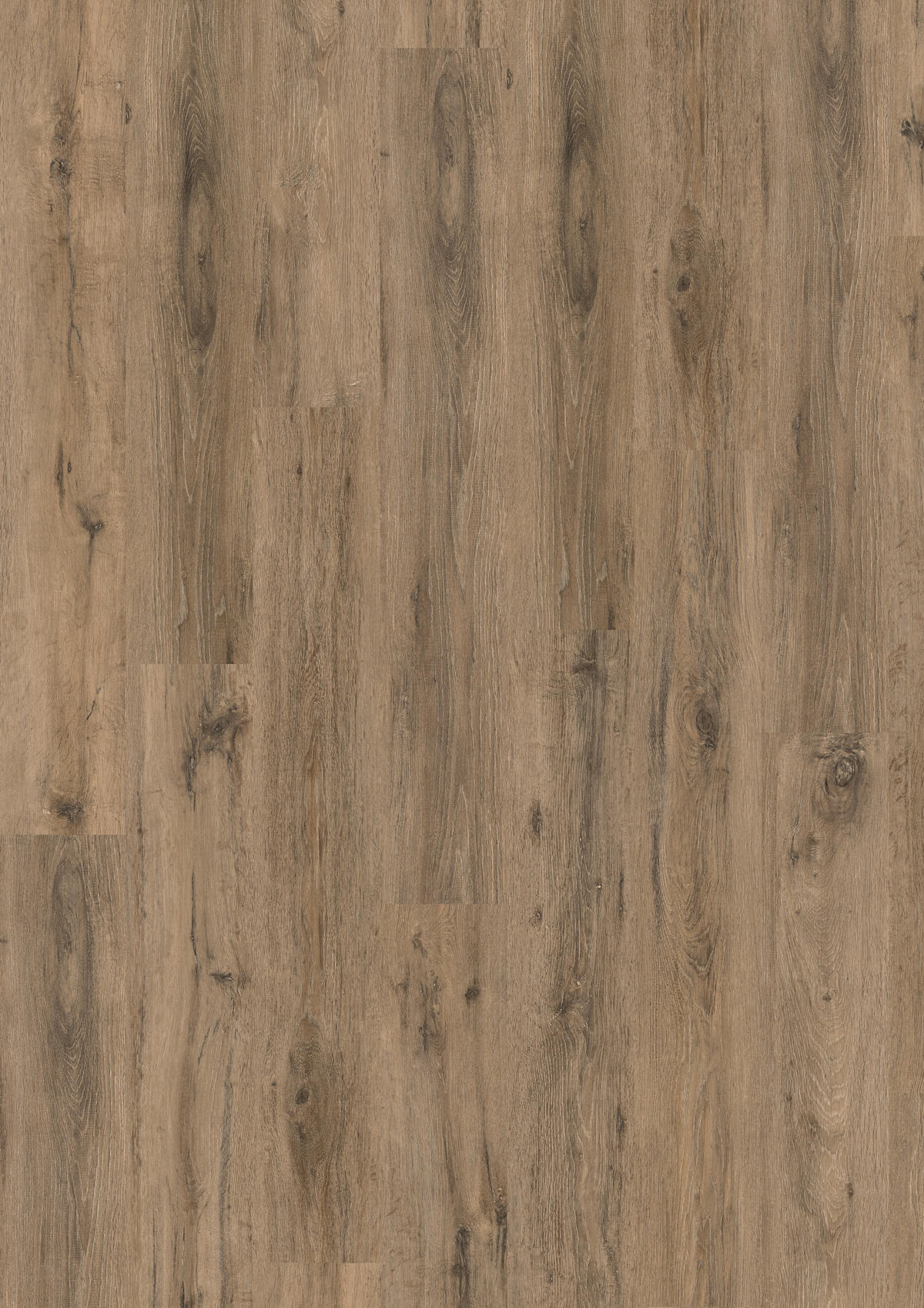 EGGER Laminatboden Eiche massiv ca. 2,4936 m² im Paket  B/L: ca. 19,3x129,2 cm pro Paket Eiche massiv ca. 2,4936 m² im Paket - (19,30/129,20cm) - EGGER