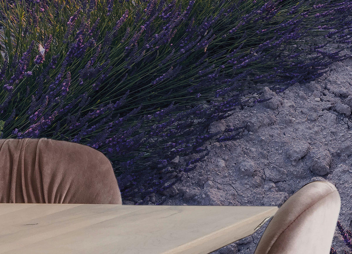 Komar Fototapete Lavender Dream B/L: ca. 450x280 cm Lavender Dream - (450,00/280,00cm) - Komar