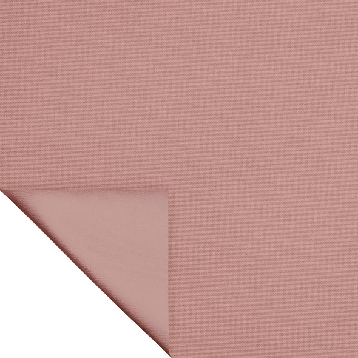 Verdunkelungsrollo altrosa B/L: ca. 45x150 cm Rollo_VD_Klemmfix_verspannt - altrosa (45,00/150,00cm) - LICHTBLICK