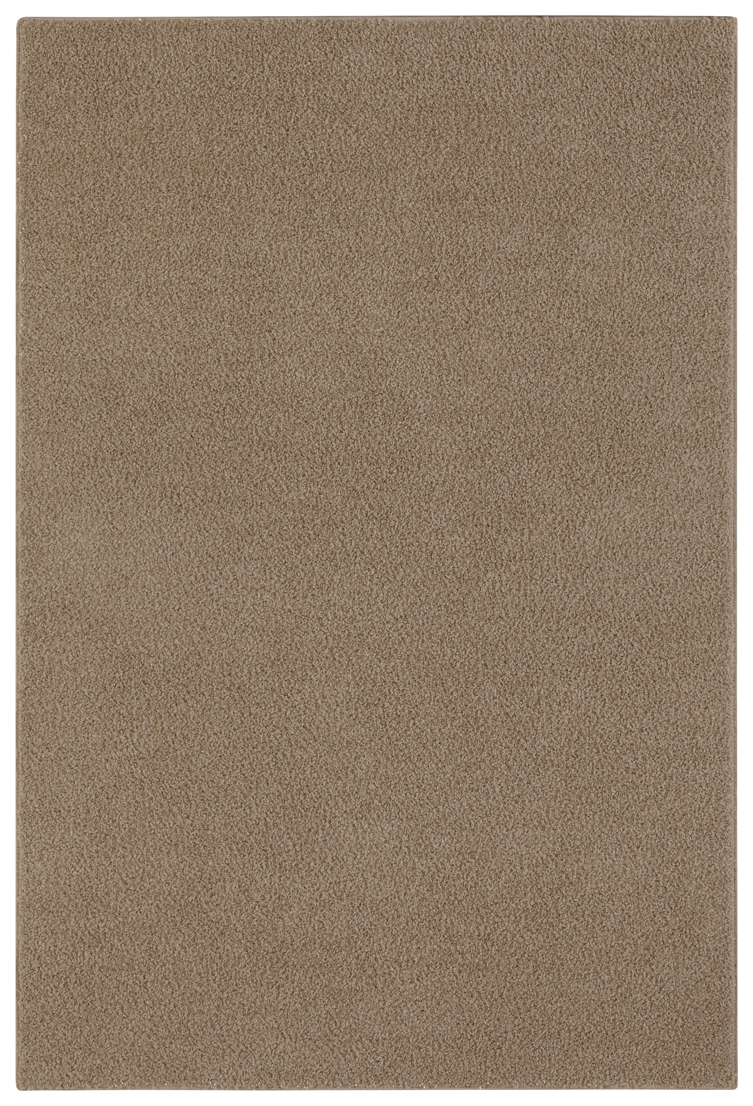 Langflorteppich Softissimo Taupe B/L: ca. 57x120 cm Softissimo - Taupe (57,00/120,00cm)