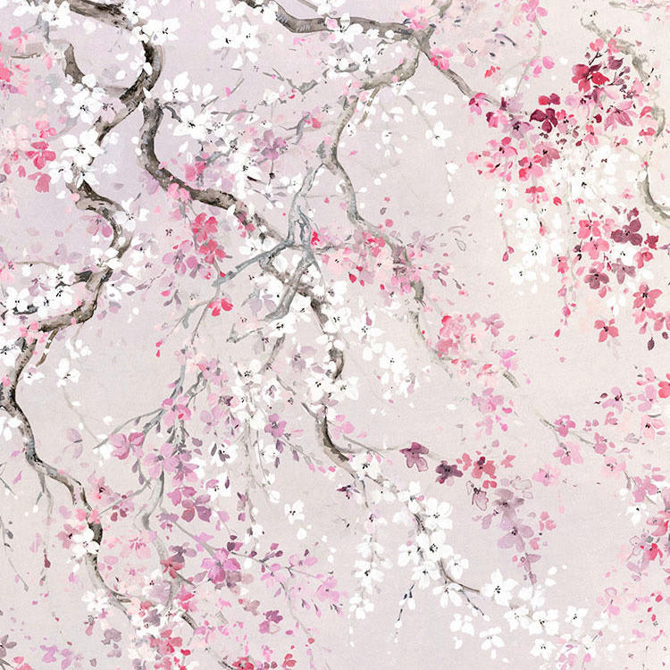 Komar Fototapete Kirschblüten B/L: ca. 300x280 cm Kirschblüten - (300,00/280,00cm) - Komar