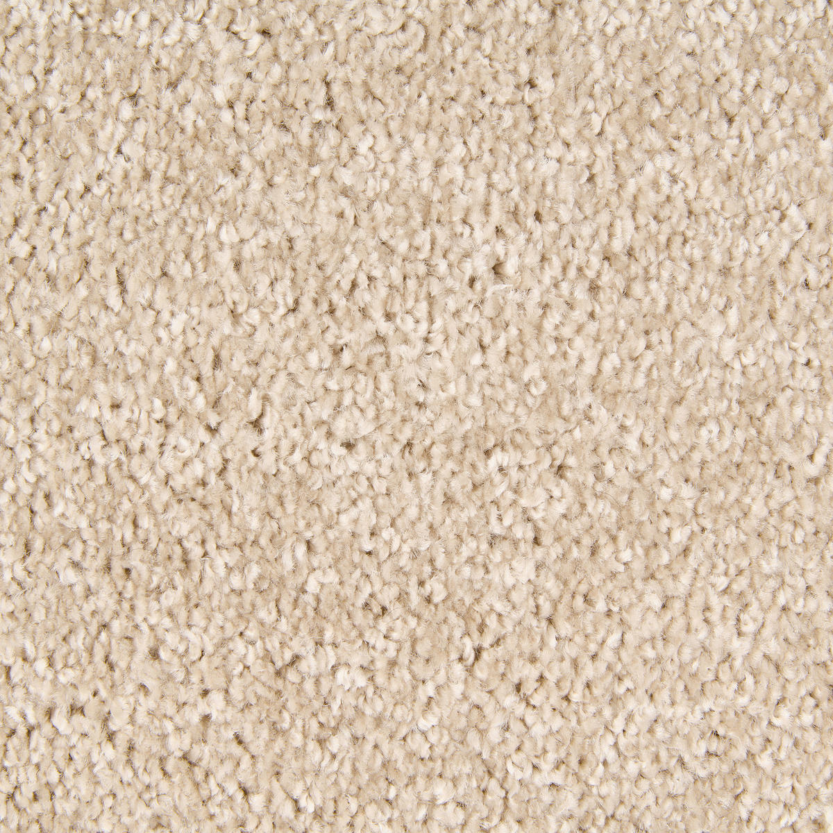 Teppichboden Olvera beige B: ca. 400 cm pro m² Olvera - beige (400,00cm)
