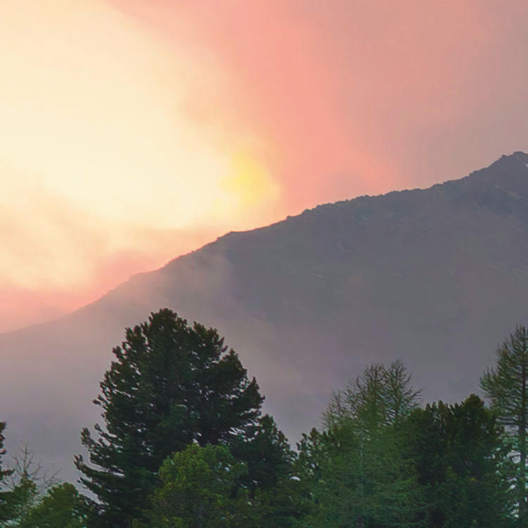 Komar Fototapete Wild Paradise B/L: ca. 450x280 cm Wild Paradise - (450,00/280,00cm) - Komar