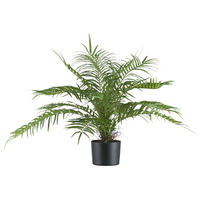Kunstpflanze Areca Palmbusch grün Kunststoff B/H/L: ca. 20x68x20 cm Areca Palmbusch - grün (20,00/20,00/68,00cm)
