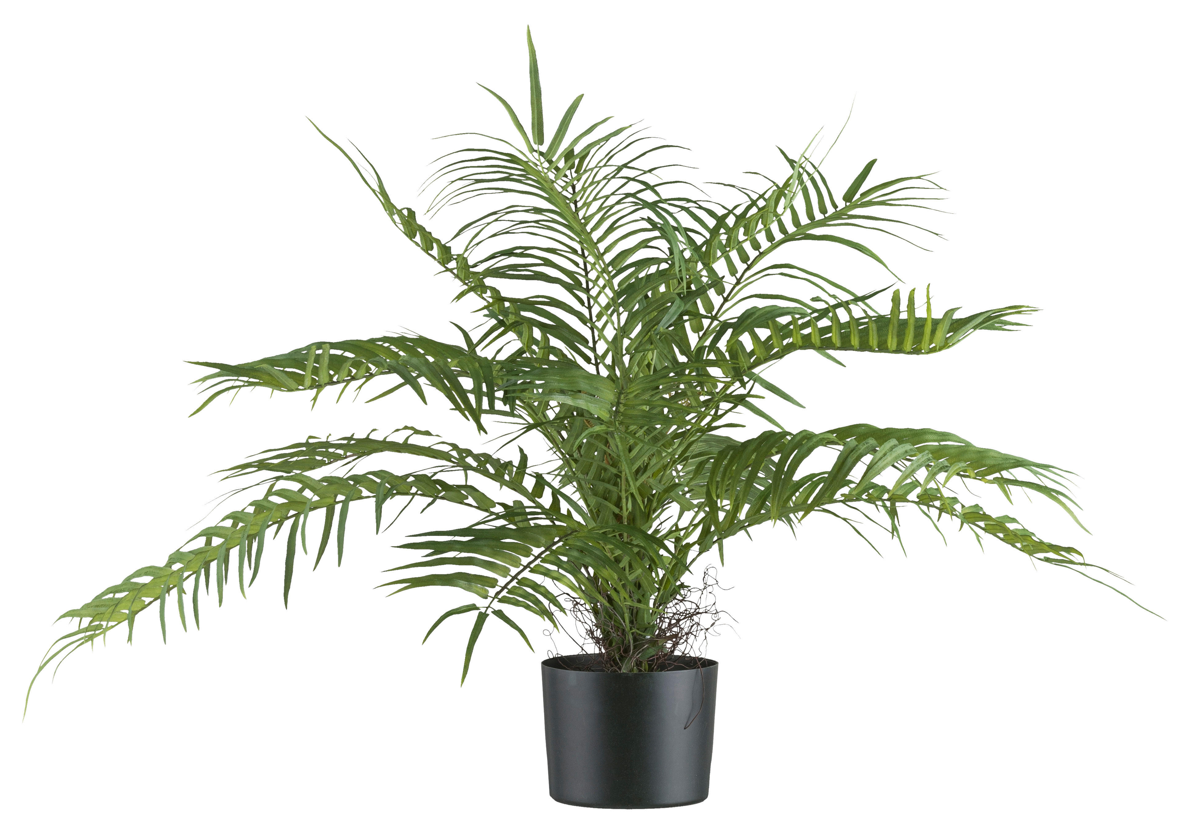 Kunstpflanze Areca Palmbusch grün Kunststoff B/H/L: ca. 20x68x20 cm günstig online kaufen