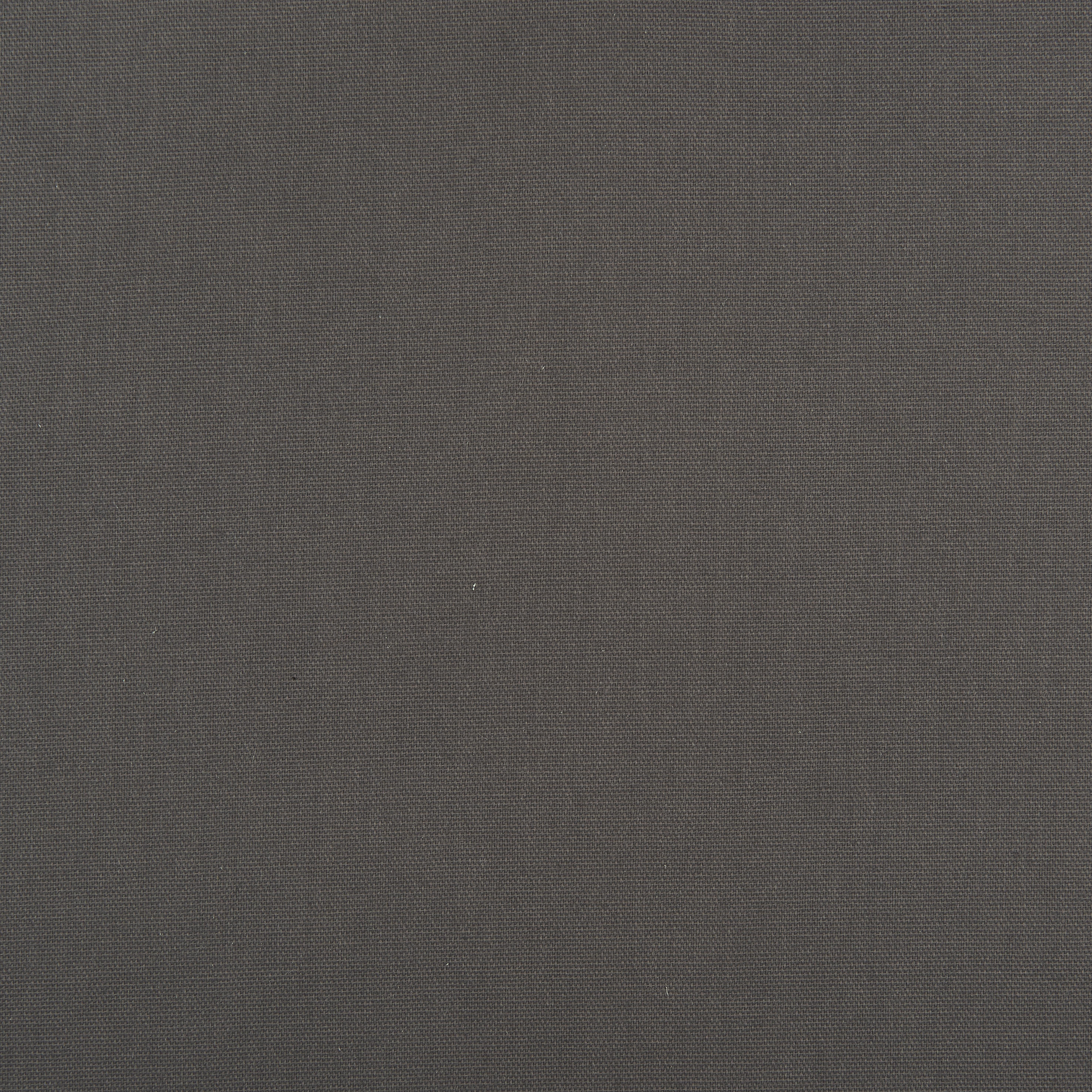 Ösenvorhang Greta grau B/L: ca. 140x245 cm Greta - grau (140,00/245,00cm)