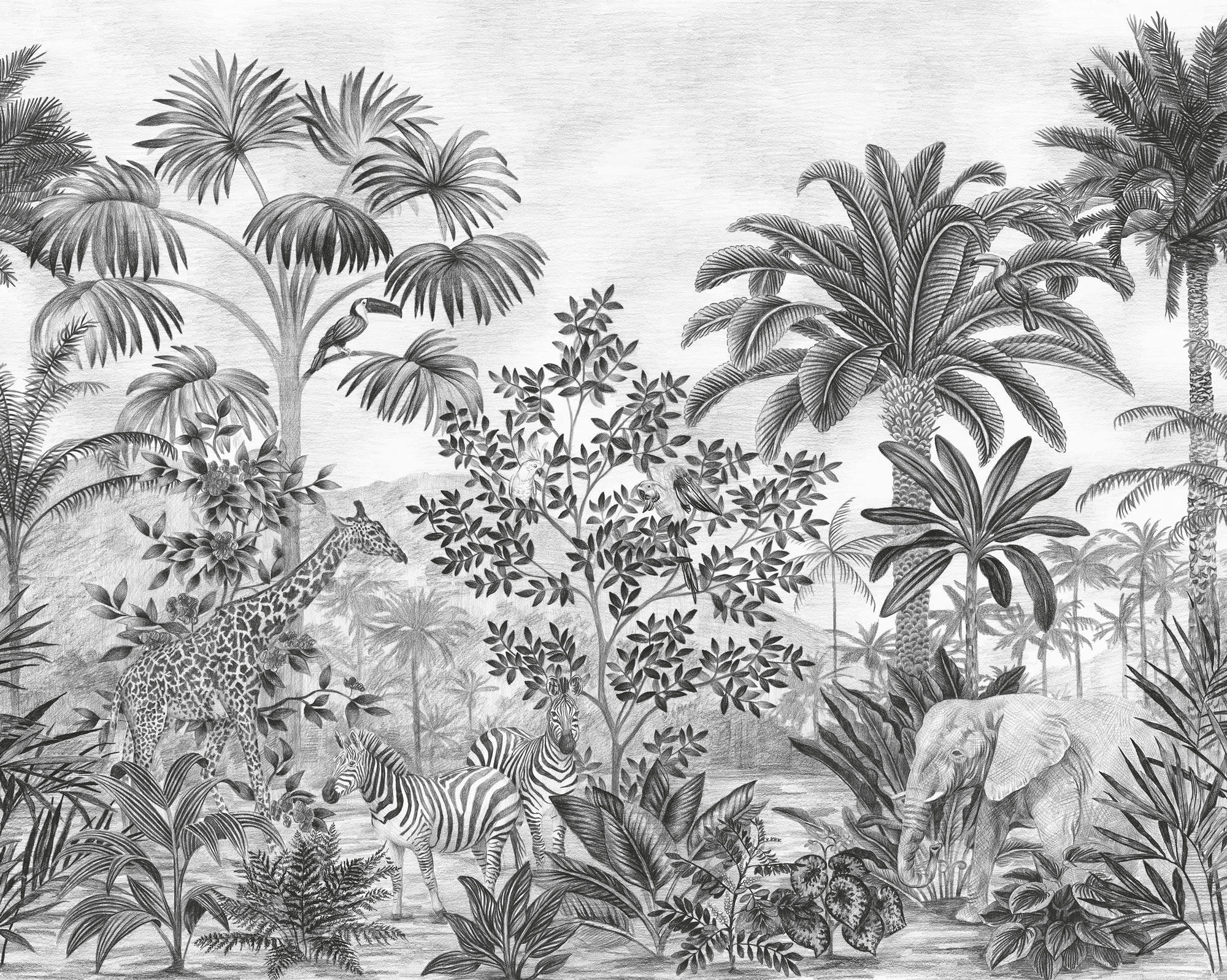 Komar Fototapete Jungle Evolution B/L: ca. 350x280 cm