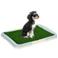 PawHut Hunde-Zubehör grün Edelstahl B/H/L: ca. 48,5x63x6 cm Hundetoilette - grün (6,00/48,50/63,00cm) - PawHut