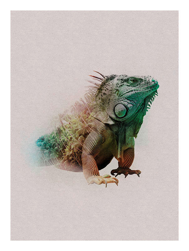 Komar Wandbild Animals Paradise Iguana günstig online kaufen