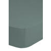 Jersey Spannbetttuch Spannbetttuch-Jersey 180x220cm - grün (180,00/220,00cm) - Good Morning