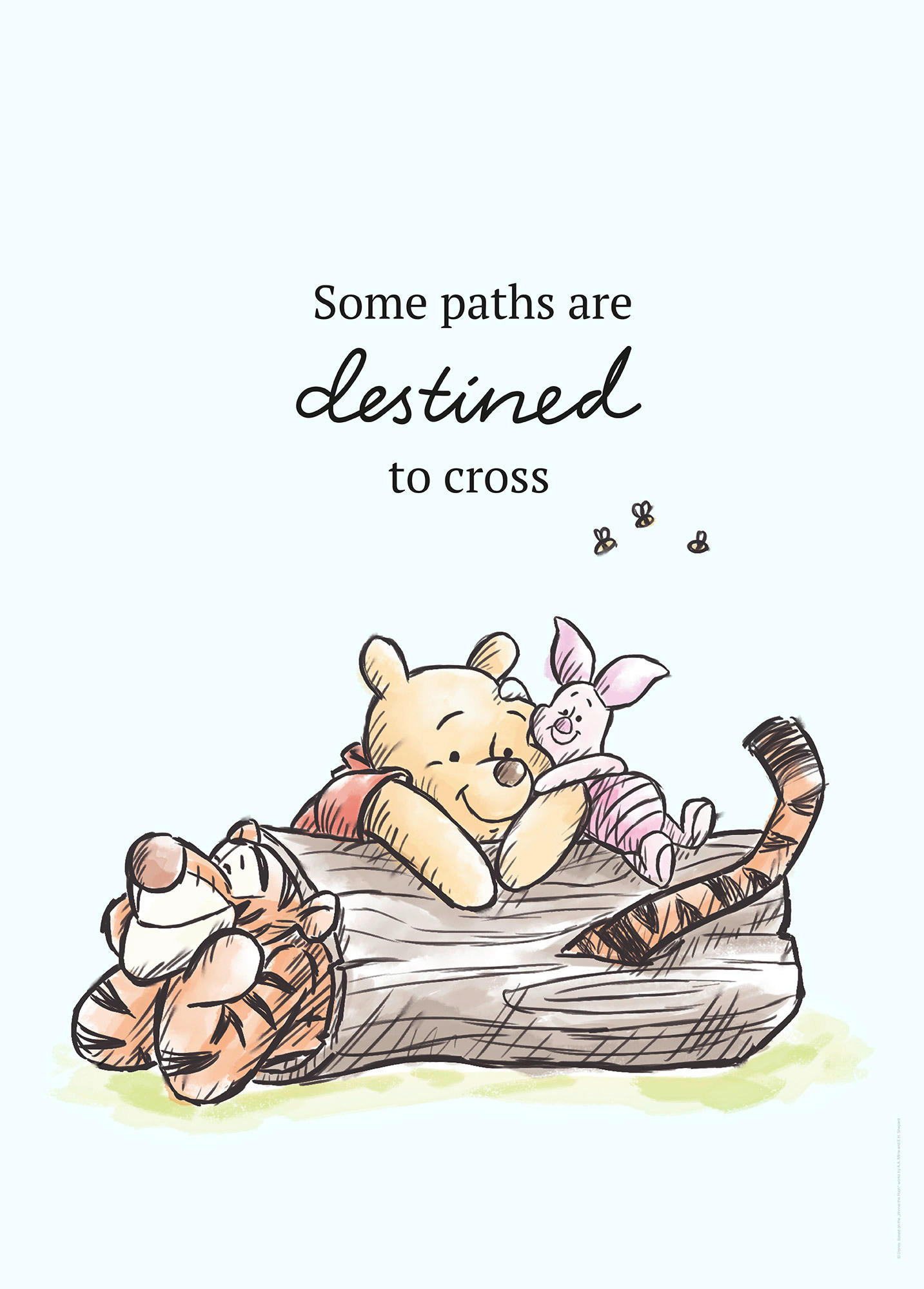 Komar Poster Winnie Pooh Path Disney B/L: ca. 50x70 cm günstig online kaufen