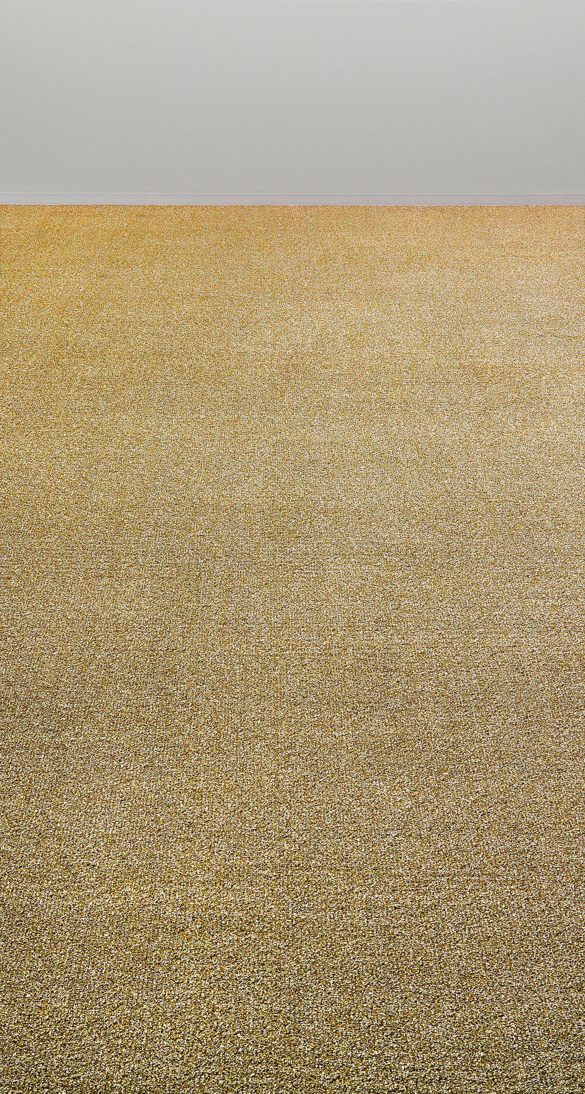 Teppichboden Java gold B: ca. 400 cm pro m² Java - gold (400,00cm)