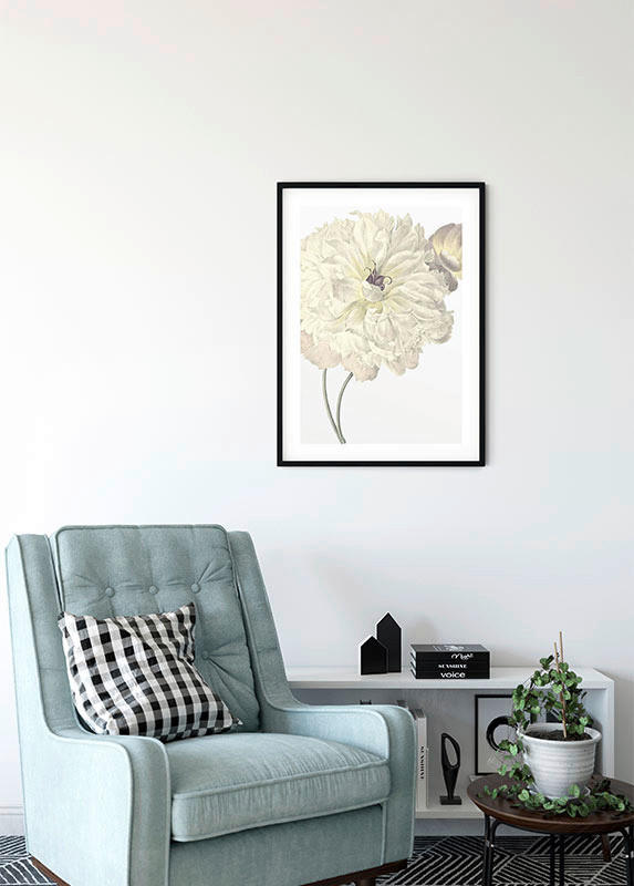 Komar Wandbild Illustration Dahlia Blume B/L: ca. 30x40 cm ▷ online bei  POCO kaufen