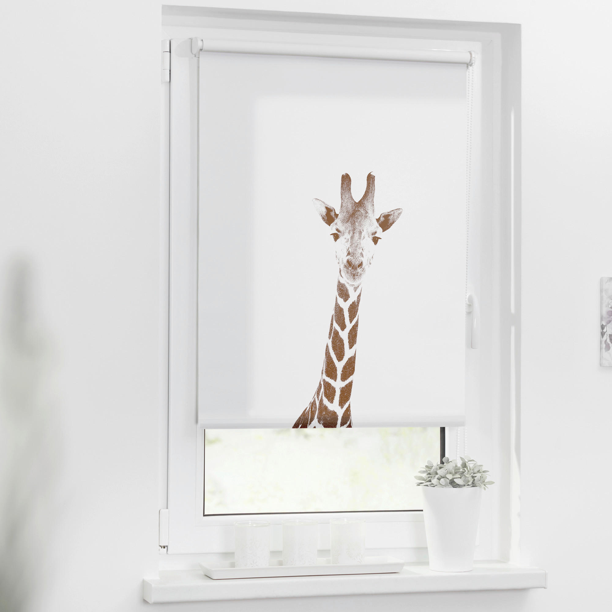 Verdunkelungsrollo Giraffe braun B/L: ca. 100x120 cm günstig online kaufen