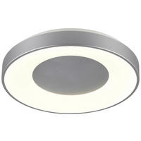 Reality Deckenleuchte P64991687 California silber weiß Kunststoff H/D: ca. 7x38,5 cm LED-Deckenleuchte_California - weiß/silber (38,50/7,00cm) - Reality