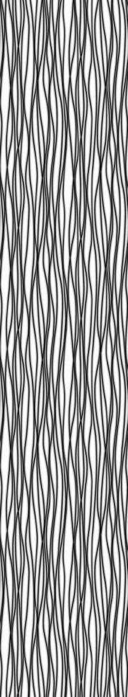 Komar Fototapete Zebra B/L: ca. 50x270 cm