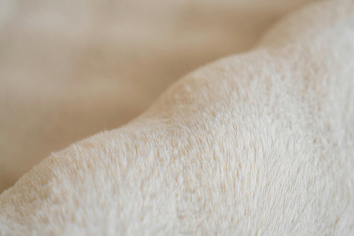 Padiro Hochflorteppich Hailey 125 creme B/H/L: ca. 80x3x150 cm Hailey 125 - creme (150,00/80,00/3,00cm) - Padiro