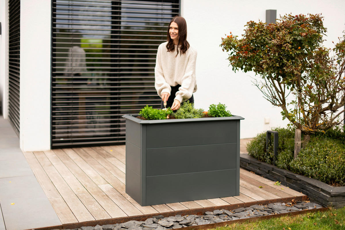 Westmann Hochbeet Primus M anthrazit Metall B/H/T: ca. 100x77x50 cm Primus M - anthrazit (100,00/77,00/50,00cm) - Westmann