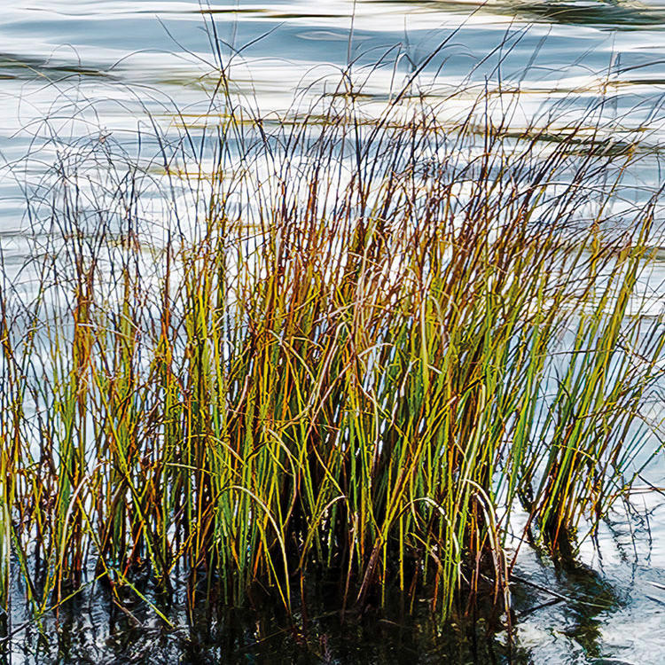 Komar Fototapete Am Ende des Tages B/L: ca. 300x280 cm Am Ende des Tages - (300,00/280,00cm) - Komar
