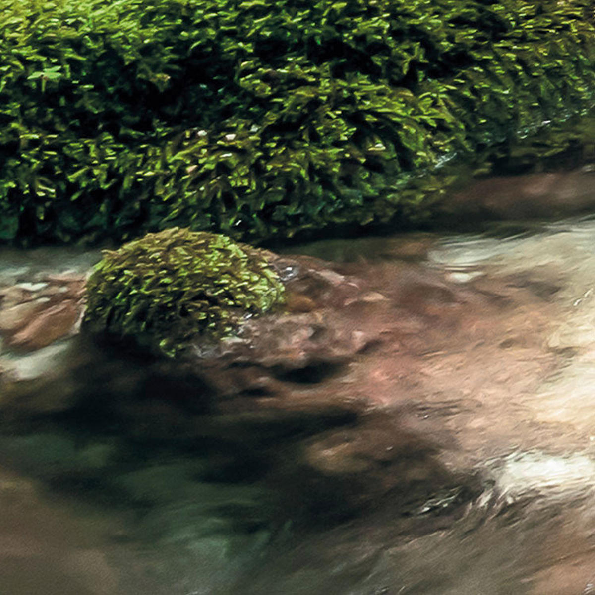 Komar Fototapete Tranquil Pool B/L: ca. 400x250 cm Tranquil Pool - (400,00/250,00cm) - Komar