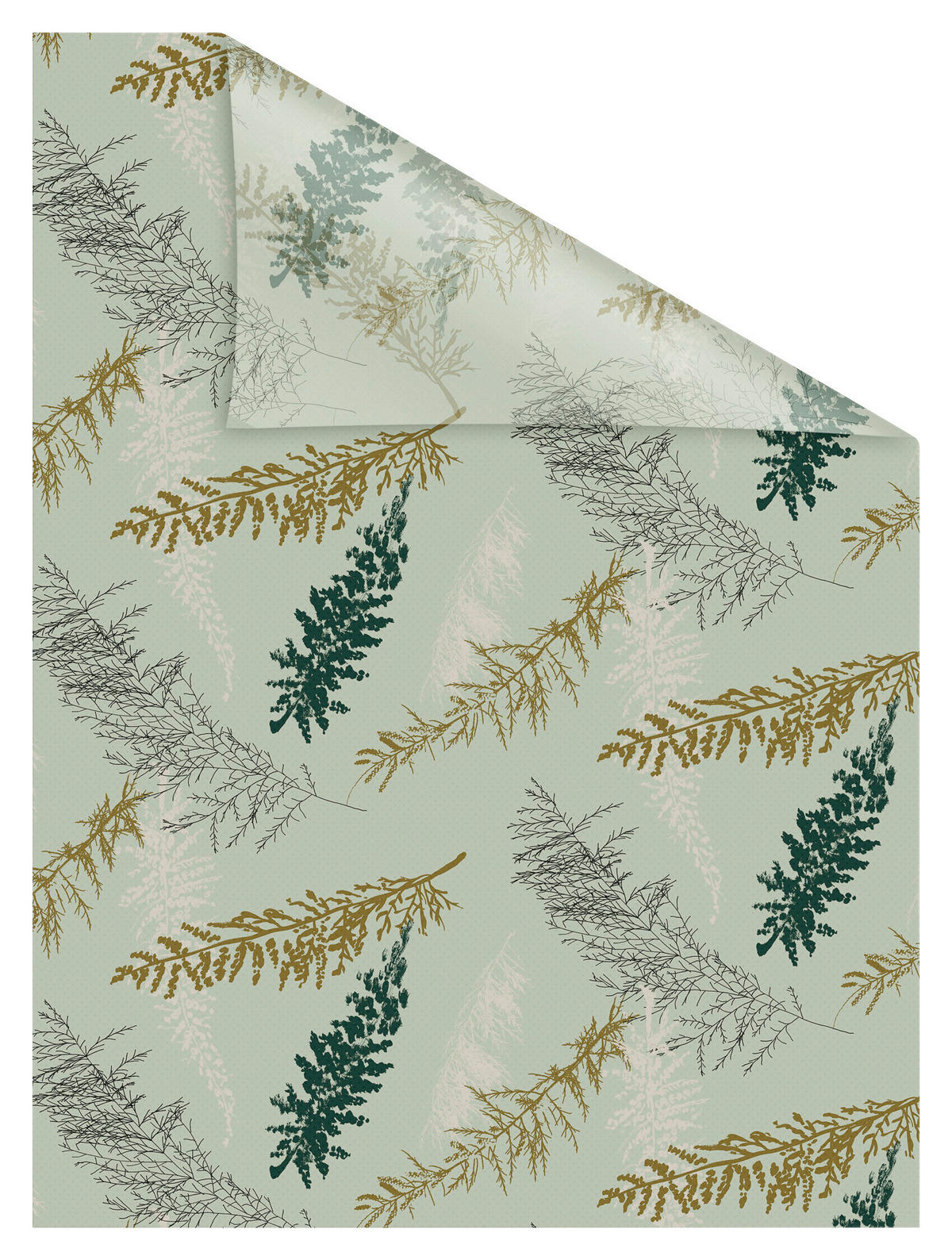 LICHTBLICK Fensterfolie Fir branches Natur Fir branches grün B/L: ca. 100x180 cm Fir branches - grün (100,00/180,00cm) - LICHTBLICK