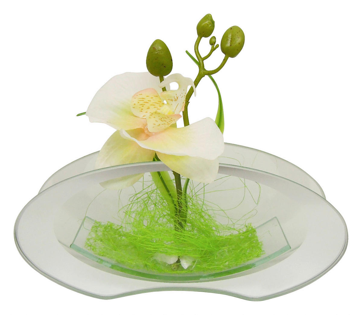 POCOline Vase klar Glas B/H/L: ca. 4,5x9,5x20 cm Spiegelvase - klar (20,00/4,50/9,50cm) - POCOline