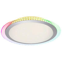 Just Light LED-Deckenleuchte CYBA 15411-21 klar silber Kunststoff Metall H/D: ca. 8x45 cm 2 Brennstellen CYBA - klar/silber (45,00/8,00cm) - Just Light