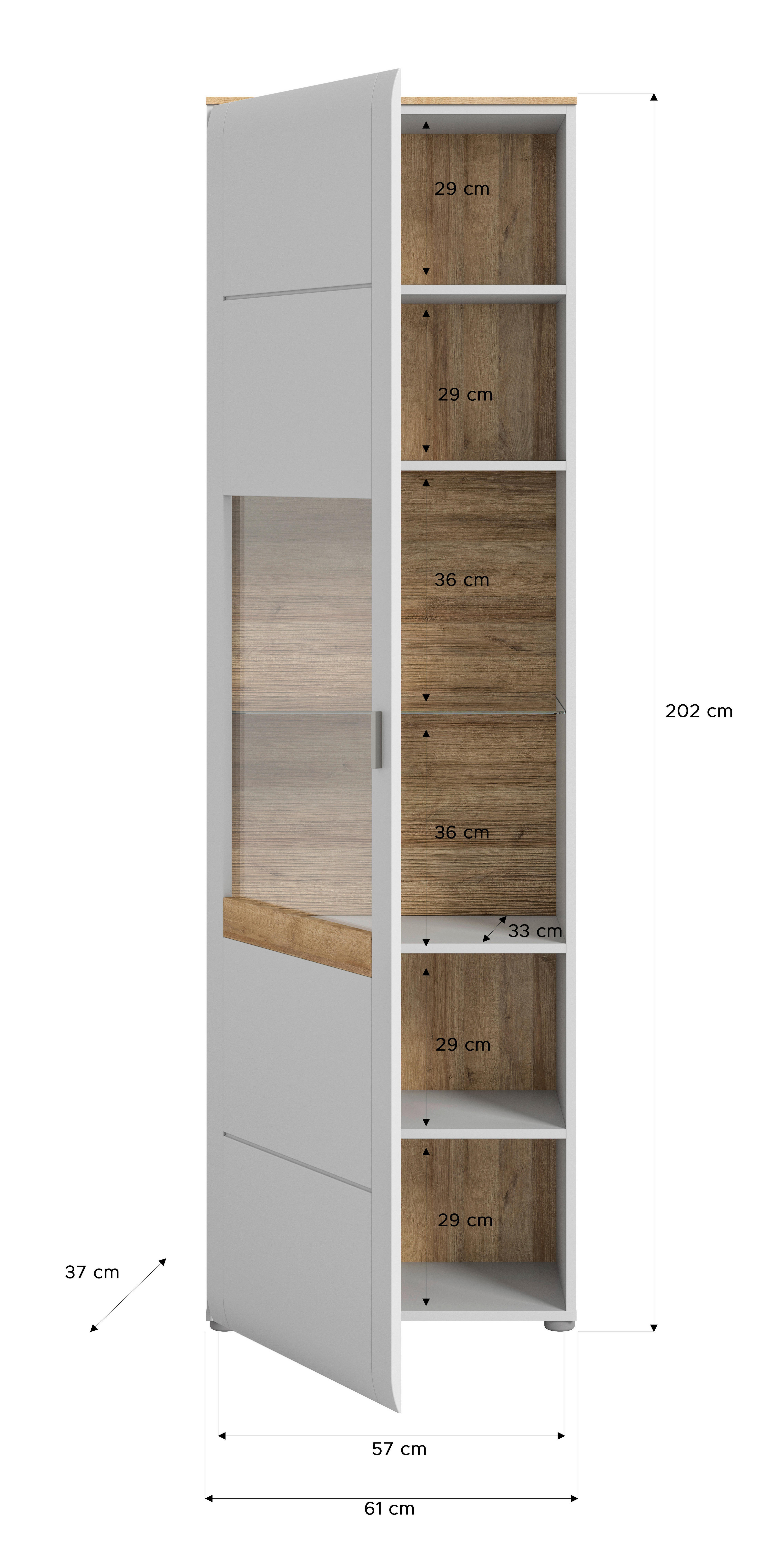 Vitrine ASHTON Ashgrey matt Nachbildung Rivera Eiche Nachbildung B/H/T: ca. 61x202x37 cm ASHTON - Rivera Eiche/Ashgrey (61,00/202,00/37,00cm) - xonox.home