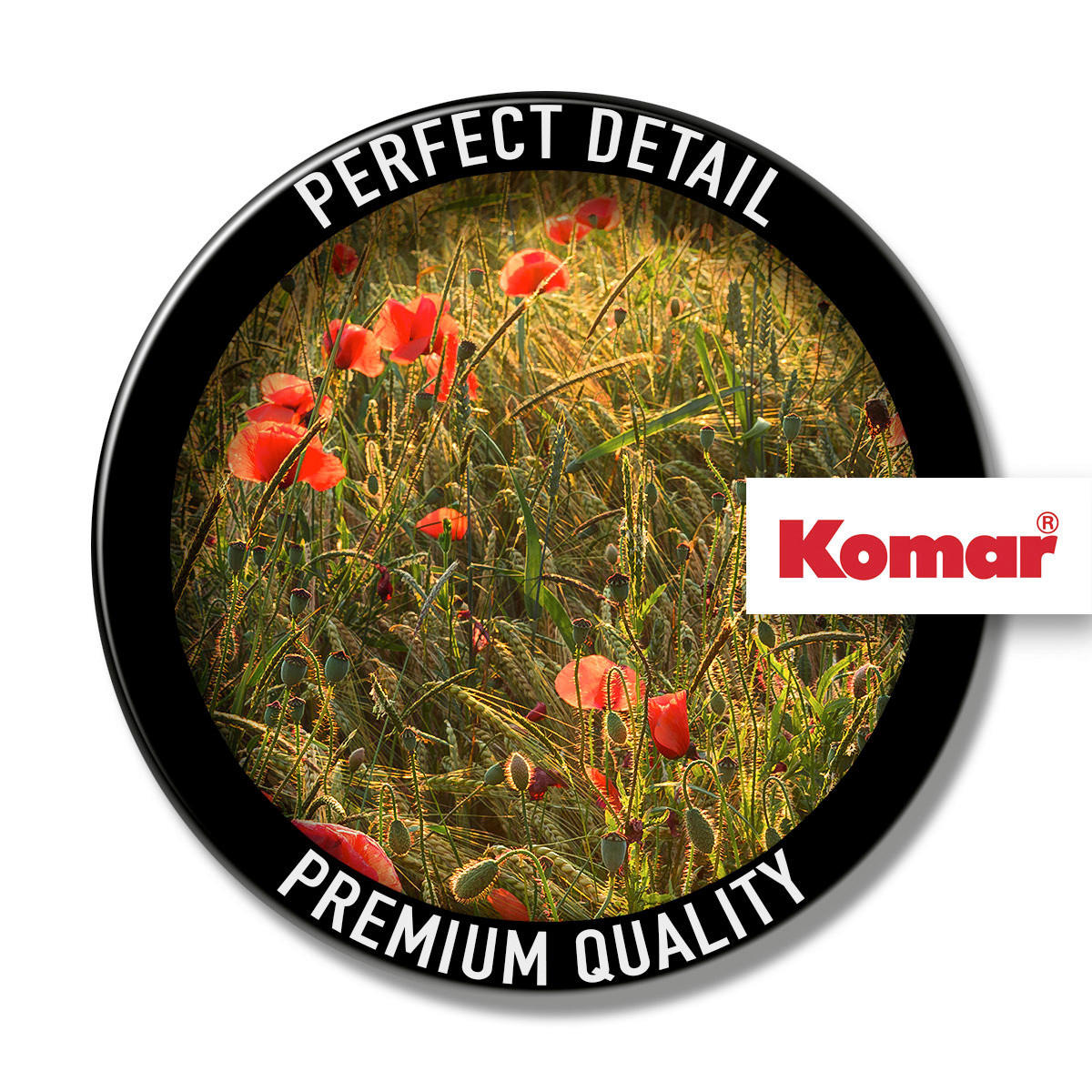 Komar Fototapete Poppy World B/L: ca. 250x280 cm Poppy World - (250,00/280,00cm) - Komar