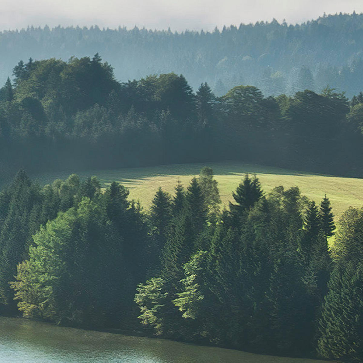 Komar Fototapete Bergwiese vor Karwendel B/L: ca. 450x280 cm Bergwiese vor Karwendel - (450,00/280,00cm) - Komar