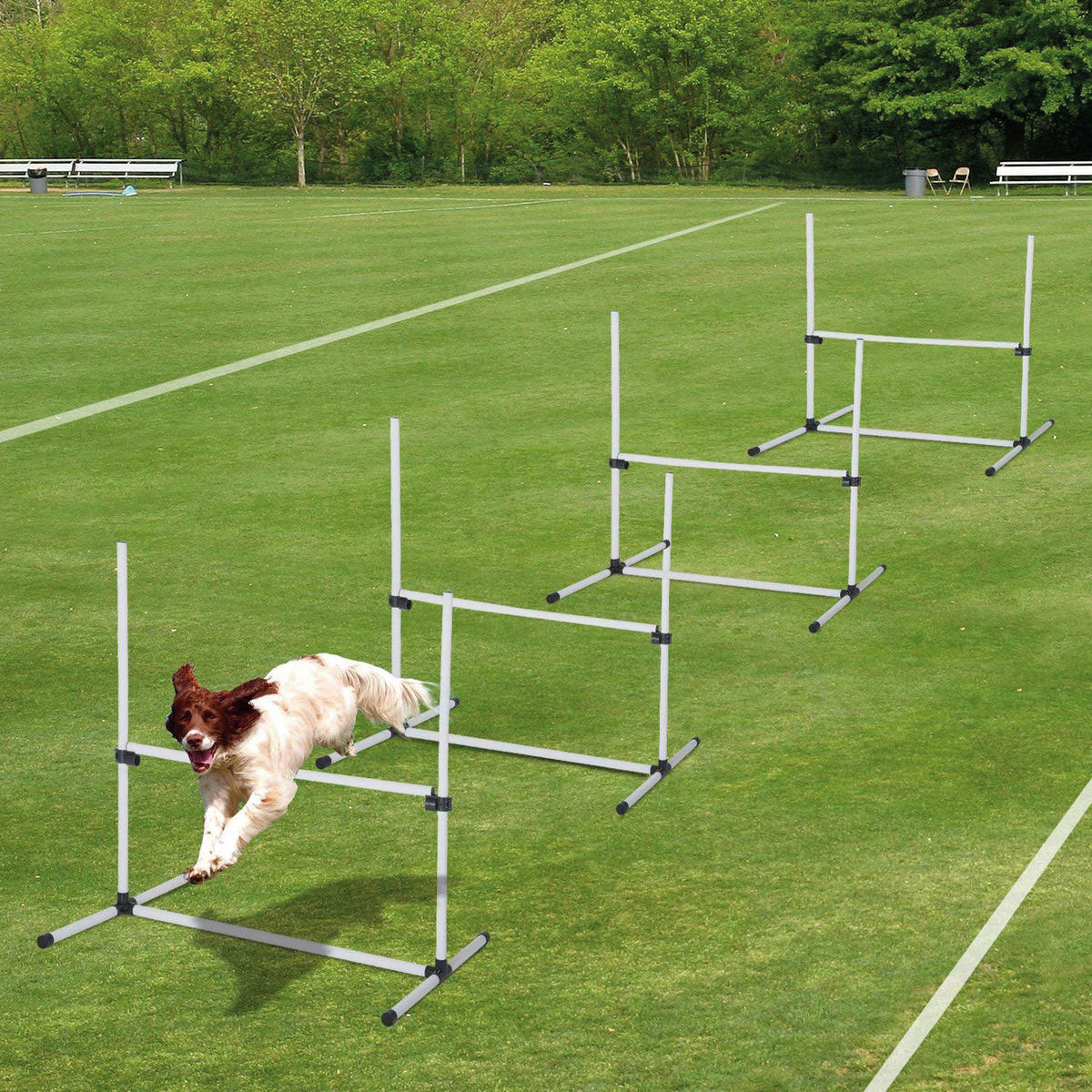 PawHut Agility Hürdenset weiß Kunststoff Agility_Hürdenset_4erSet - weiß - PawHut