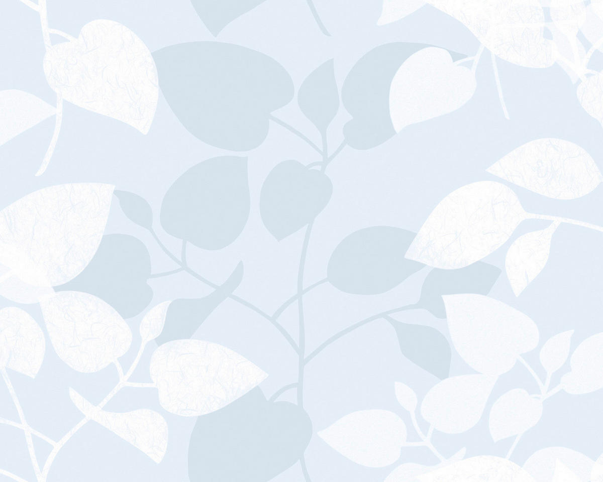 d-c-fix Fensterfolie Blätter transparent B/L: ca. 67,5x150 cm Fensterfolie_d-c-fix_F3348018 - transparent (67,50/150,00cm) - d-c-fix